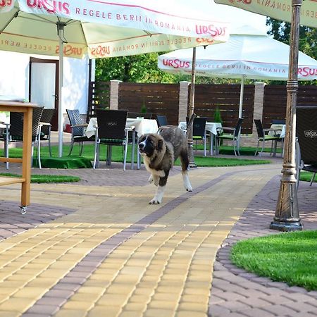 Pensiune Restaurant Flamingo Sighetu Marmaţiei Exteriör bild